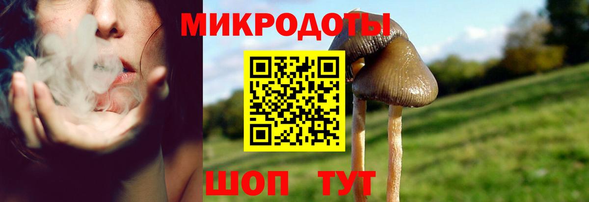Галлюциногенные грибы MAGIC MUSHROOMS Знаменск
