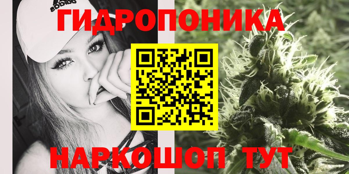 Каннабис сатива Знаменск